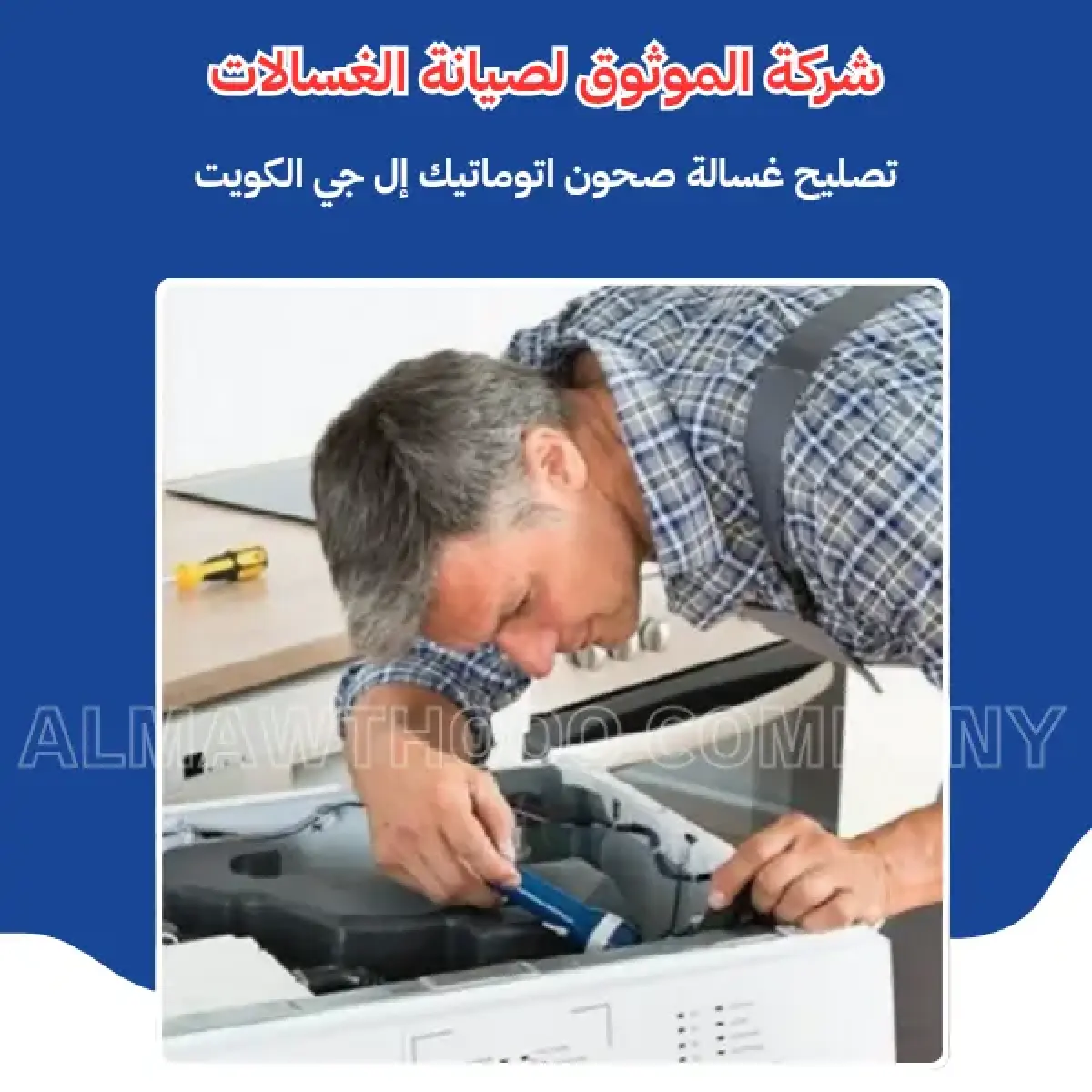 صورة من المعرض